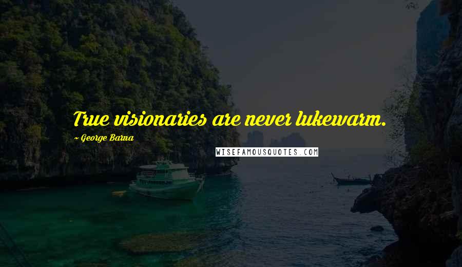 George Barna Quotes: True visionaries are never lukewarm.