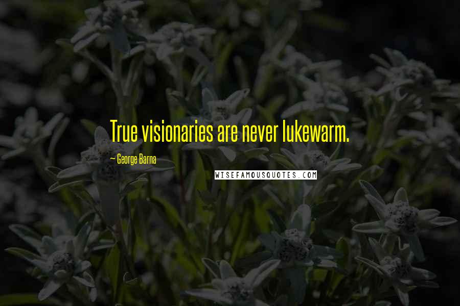 George Barna Quotes: True visionaries are never lukewarm.