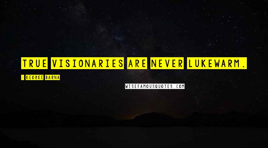 George Barna Quotes: True visionaries are never lukewarm.