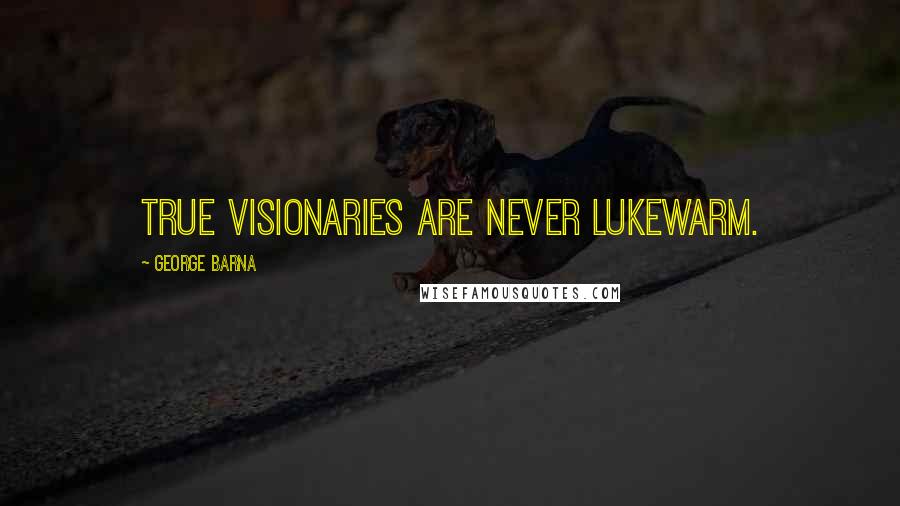 George Barna Quotes: True visionaries are never lukewarm.