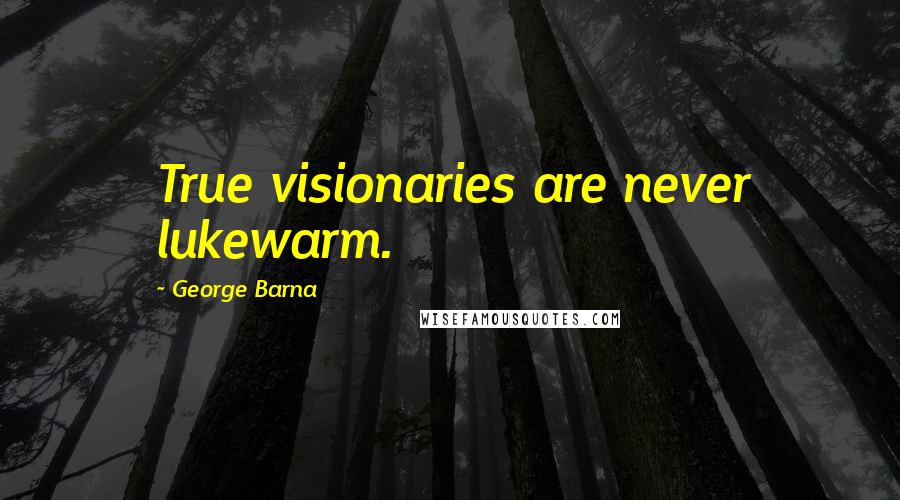 George Barna Quotes: True visionaries are never lukewarm.