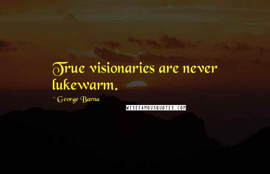 George Barna Quotes: True visionaries are never lukewarm.