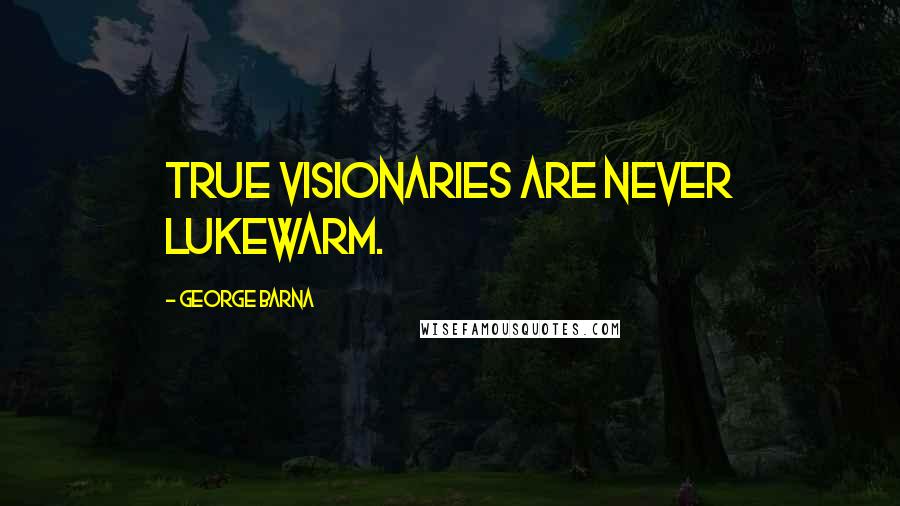 George Barna Quotes: True visionaries are never lukewarm.