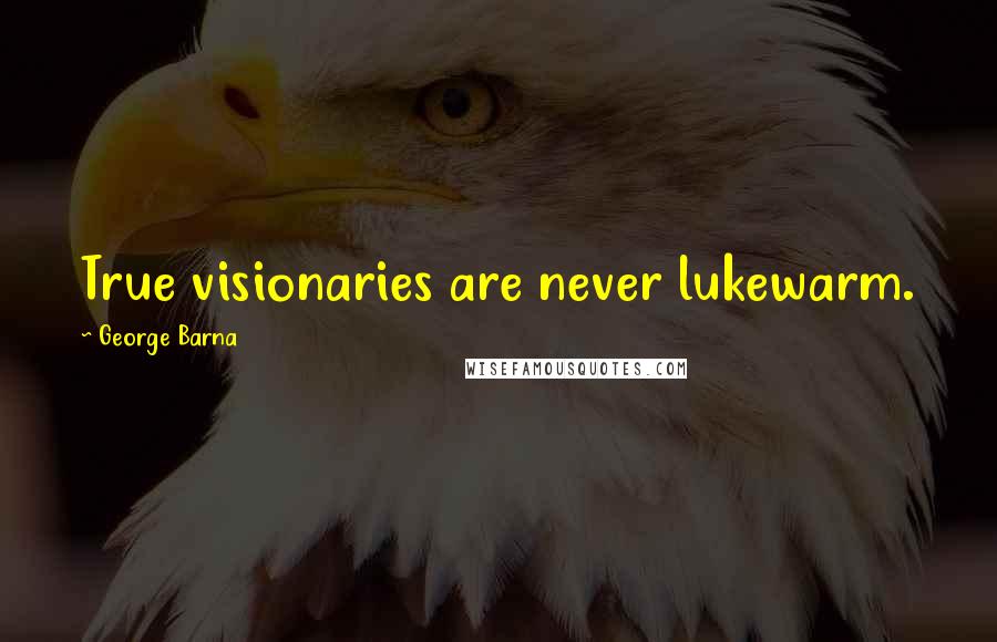 George Barna Quotes: True visionaries are never lukewarm.