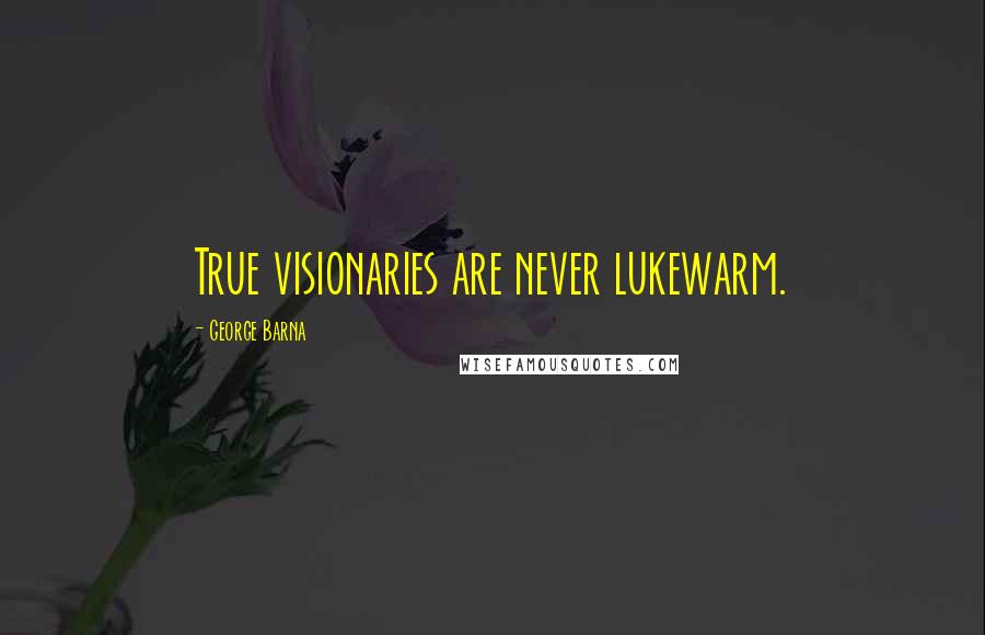 George Barna Quotes: True visionaries are never lukewarm.