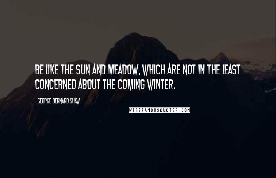 George Bernard Shaw Quotes: Be like the sun and meadow, which are not in the least concerned about the coming winter.
