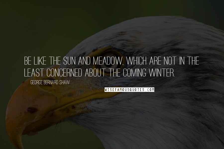 George Bernard Shaw Quotes: Be like the sun and meadow, which are not in the least concerned about the coming winter.