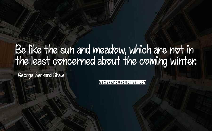 George Bernard Shaw Quotes: Be like the sun and meadow, which are not in the least concerned about the coming winter.