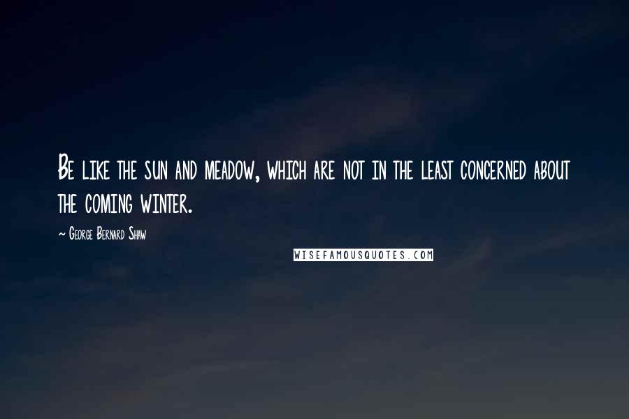 George Bernard Shaw Quotes: Be like the sun and meadow, which are not in the least concerned about the coming winter.