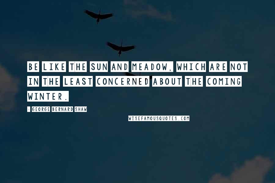 George Bernard Shaw Quotes: Be like the sun and meadow, which are not in the least concerned about the coming winter.