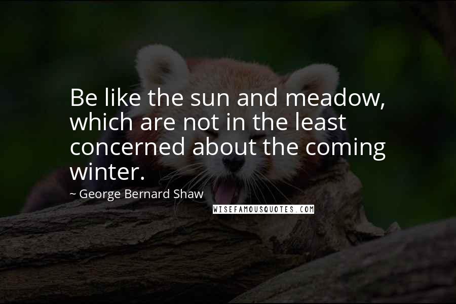 George Bernard Shaw Quotes: Be like the sun and meadow, which are not in the least concerned about the coming winter.