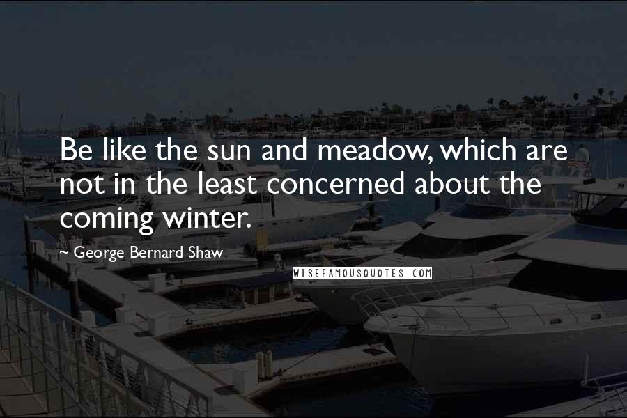 George Bernard Shaw Quotes: Be like the sun and meadow, which are not in the least concerned about the coming winter.