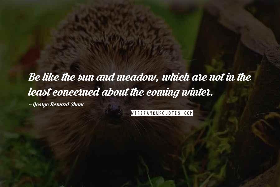 George Bernard Shaw Quotes: Be like the sun and meadow, which are not in the least concerned about the coming winter.