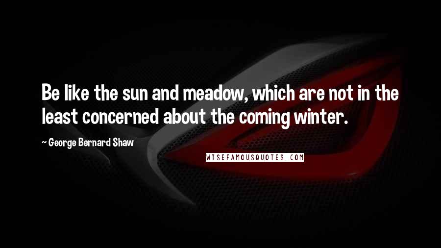 George Bernard Shaw Quotes: Be like the sun and meadow, which are not in the least concerned about the coming winter.