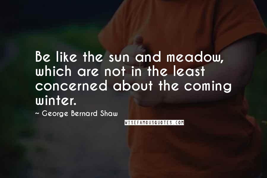 George Bernard Shaw Quotes: Be like the sun and meadow, which are not in the least concerned about the coming winter.