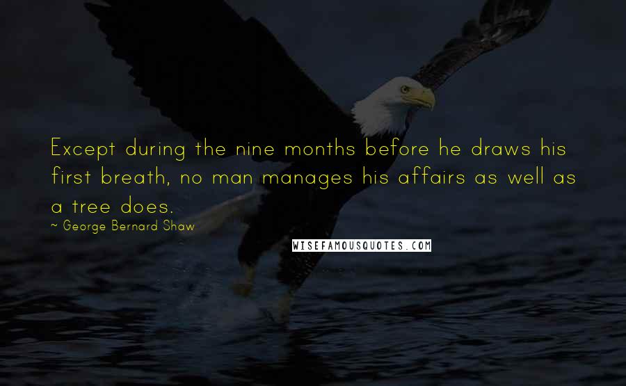 George Bernard Shaw Quotes: Except during the nine months before he draws his first breath, no man manages his affairs as well as a tree does.