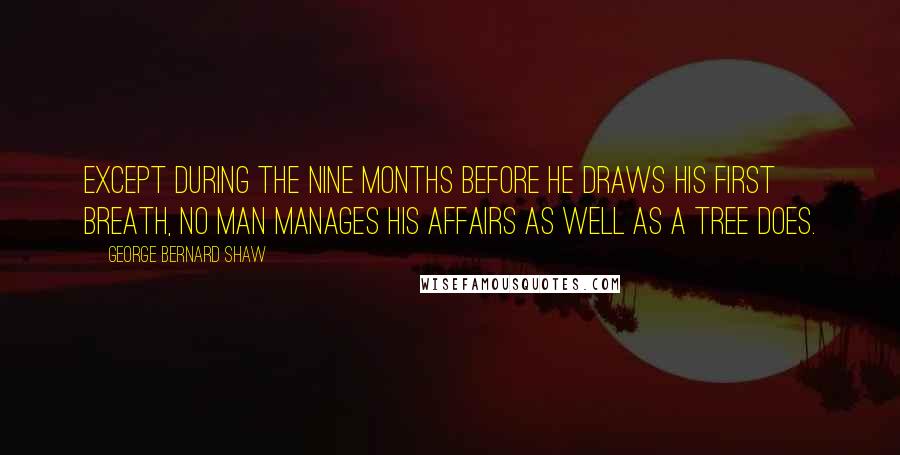 George Bernard Shaw Quotes: Except during the nine months before he draws his first breath, no man manages his affairs as well as a tree does.