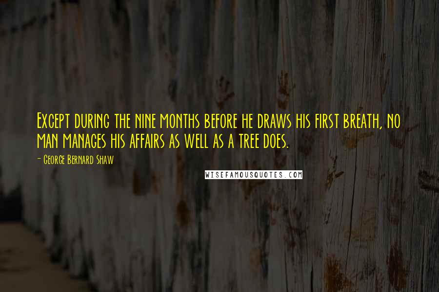 George Bernard Shaw Quotes: Except during the nine months before he draws his first breath, no man manages his affairs as well as a tree does.