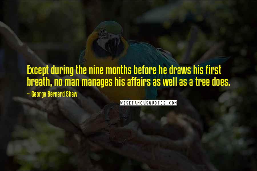 George Bernard Shaw Quotes: Except during the nine months before he draws his first breath, no man manages his affairs as well as a tree does.