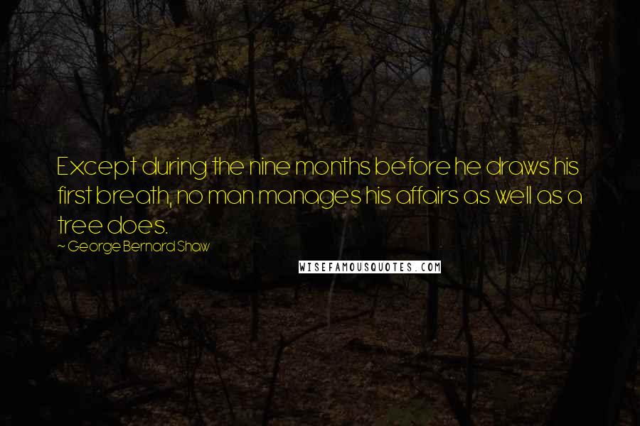 George Bernard Shaw Quotes: Except during the nine months before he draws his first breath, no man manages his affairs as well as a tree does.