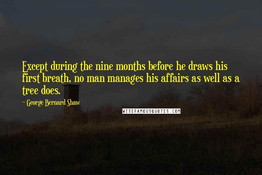 George Bernard Shaw Quotes: Except during the nine months before he draws his first breath, no man manages his affairs as well as a tree does.