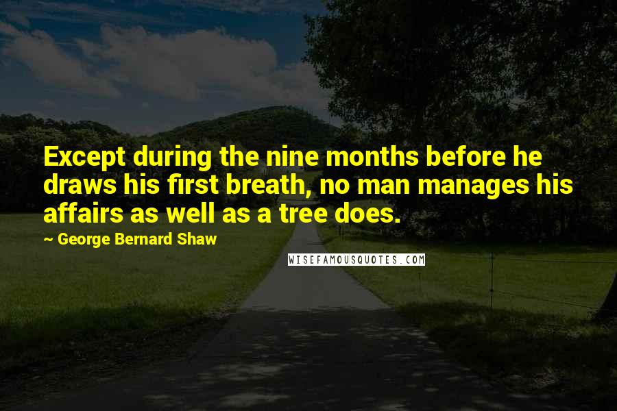 George Bernard Shaw Quotes: Except during the nine months before he draws his first breath, no man manages his affairs as well as a tree does.