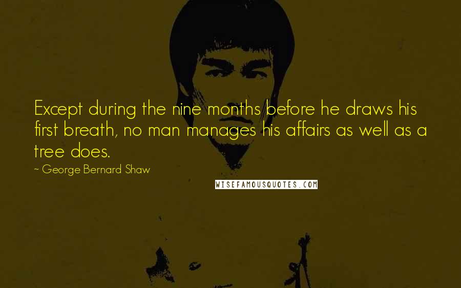 George Bernard Shaw Quotes: Except during the nine months before he draws his first breath, no man manages his affairs as well as a tree does.