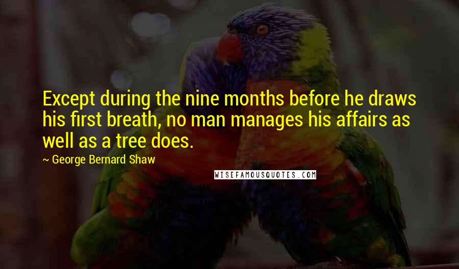 George Bernard Shaw Quotes: Except during the nine months before he draws his first breath, no man manages his affairs as well as a tree does.