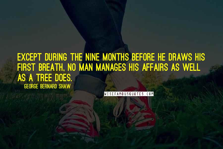 George Bernard Shaw Quotes: Except during the nine months before he draws his first breath, no man manages his affairs as well as a tree does.