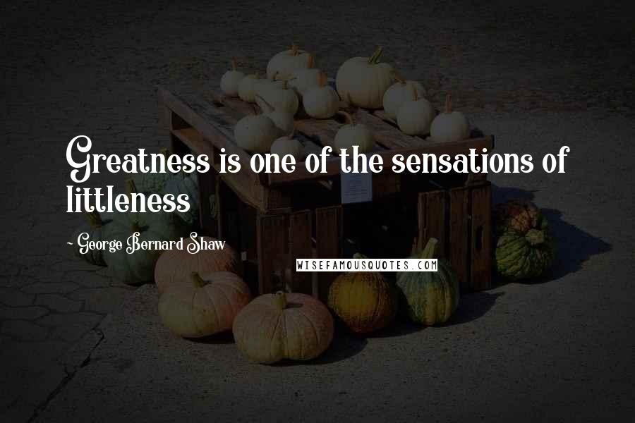 George Bernard Shaw Quotes: Greatness is one of the sensations of littleness