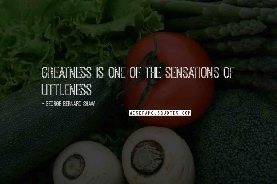 George Bernard Shaw Quotes: Greatness is one of the sensations of littleness