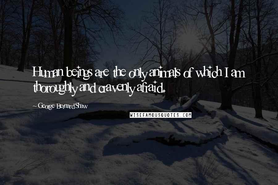 George Bernard Shaw Quotes: Human beings are the only animals of which I am thoroughly and cravenly afraid.