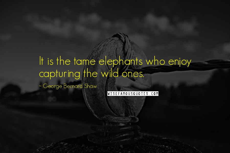 George Bernard Shaw Quotes: It is the tame elephants who enjoy capturing the wild ones.