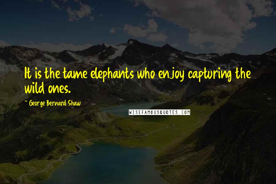 George Bernard Shaw Quotes: It is the tame elephants who enjoy capturing the wild ones.