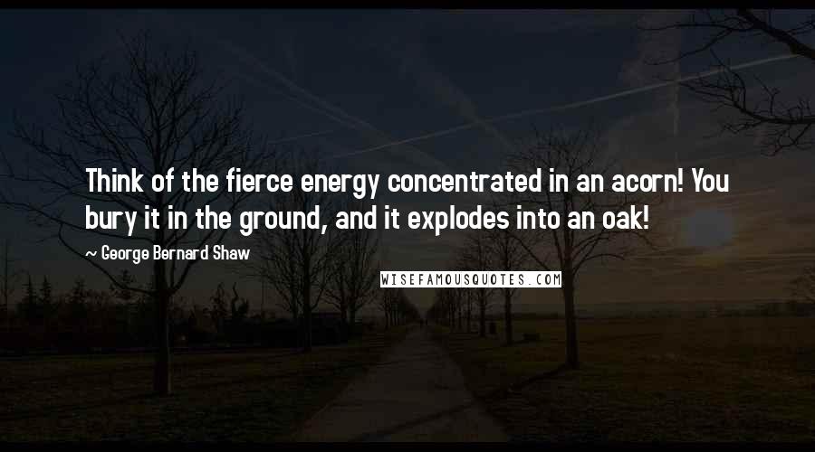 George Bernard Shaw Quotes: Think of the fierce energy concentrated in an acorn! You bury it in the ground, and it explodes into an oak!