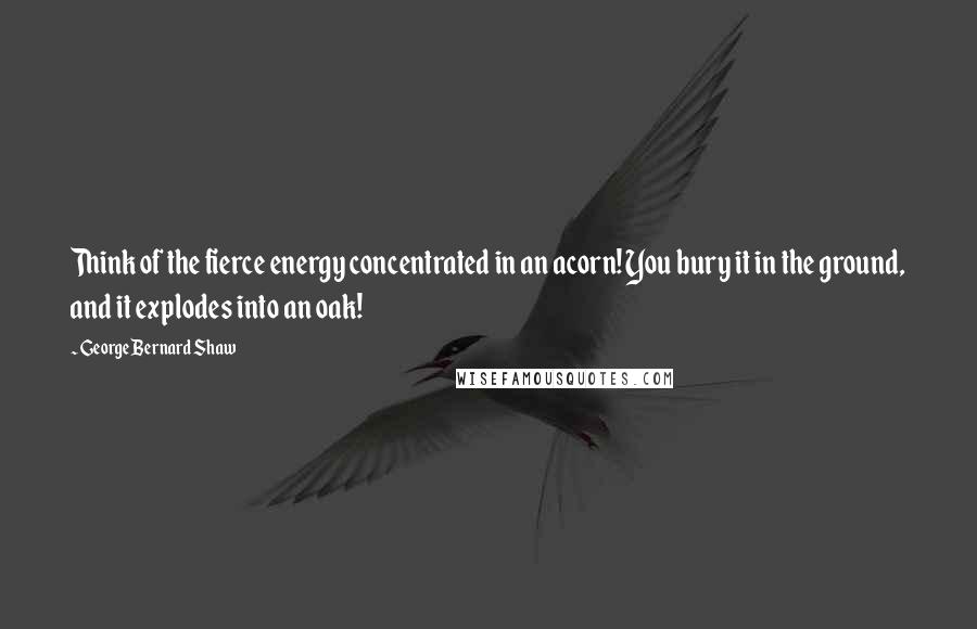 George Bernard Shaw Quotes: Think of the fierce energy concentrated in an acorn! You bury it in the ground, and it explodes into an oak!