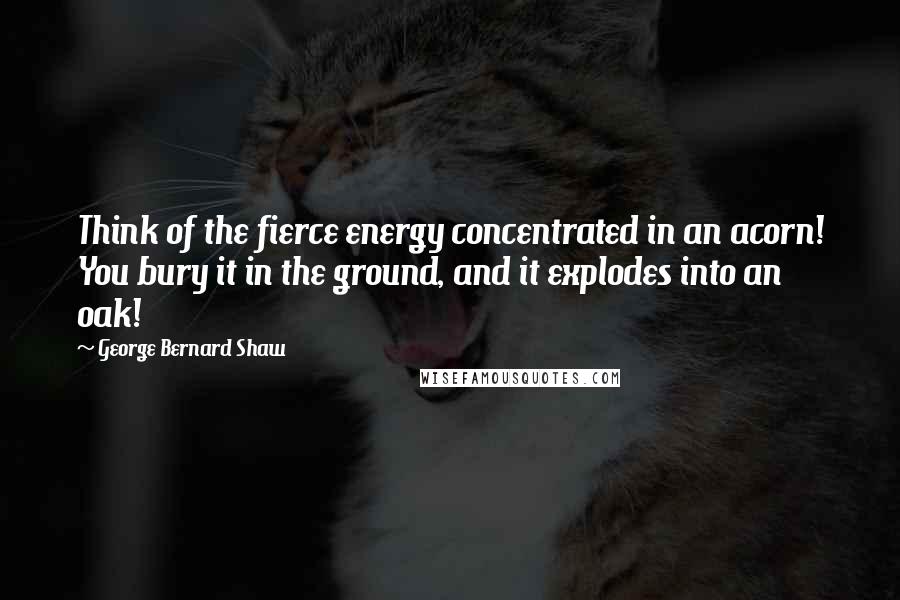 George Bernard Shaw Quotes: Think of the fierce energy concentrated in an acorn! You bury it in the ground, and it explodes into an oak!