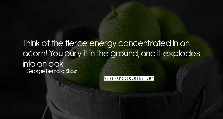 George Bernard Shaw Quotes: Think of the fierce energy concentrated in an acorn! You bury it in the ground, and it explodes into an oak!