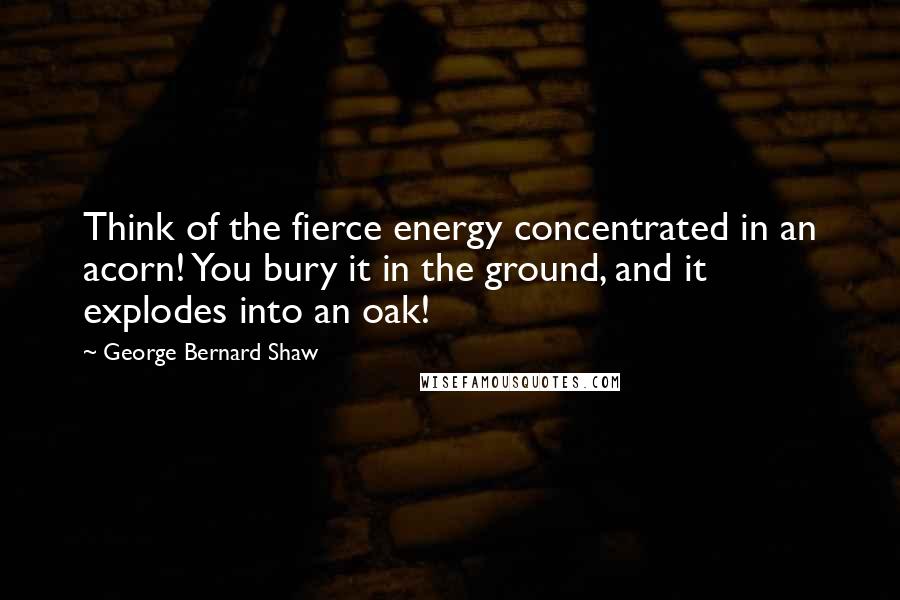 George Bernard Shaw Quotes: Think of the fierce energy concentrated in an acorn! You bury it in the ground, and it explodes into an oak!