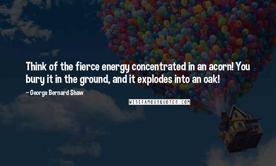 George Bernard Shaw Quotes: Think of the fierce energy concentrated in an acorn! You bury it in the ground, and it explodes into an oak!