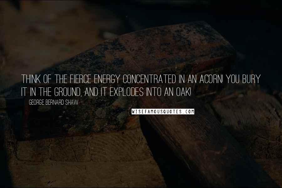 George Bernard Shaw Quotes: Think of the fierce energy concentrated in an acorn! You bury it in the ground, and it explodes into an oak!