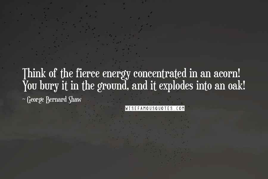 George Bernard Shaw Quotes: Think of the fierce energy concentrated in an acorn! You bury it in the ground, and it explodes into an oak!