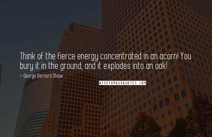 George Bernard Shaw Quotes: Think of the fierce energy concentrated in an acorn! You bury it in the ground, and it explodes into an oak!