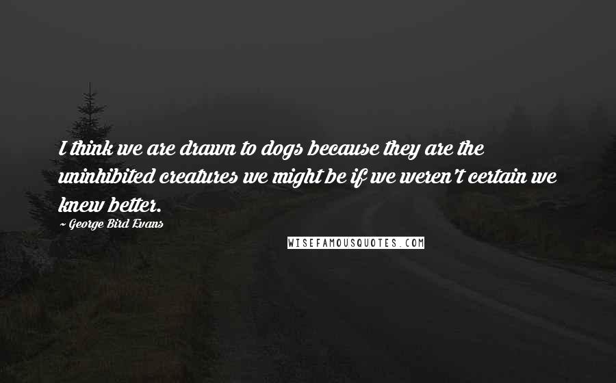 George Bird Evans Quotes: I think we are drawn to dogs because they are the uninhibited creatures we might be if we weren't certain we knew better.