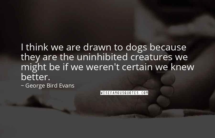 George Bird Evans Quotes: I think we are drawn to dogs because they are the uninhibited creatures we might be if we weren't certain we knew better.