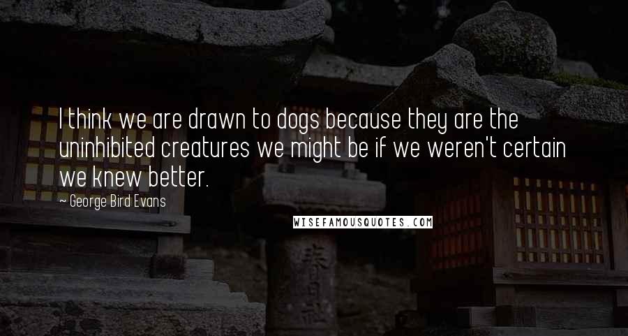 George Bird Evans Quotes: I think we are drawn to dogs because they are the uninhibited creatures we might be if we weren't certain we knew better.