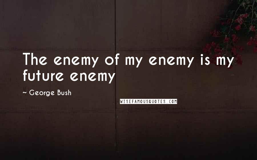 George Bush Quotes: The enemy of my enemy is my future enemy