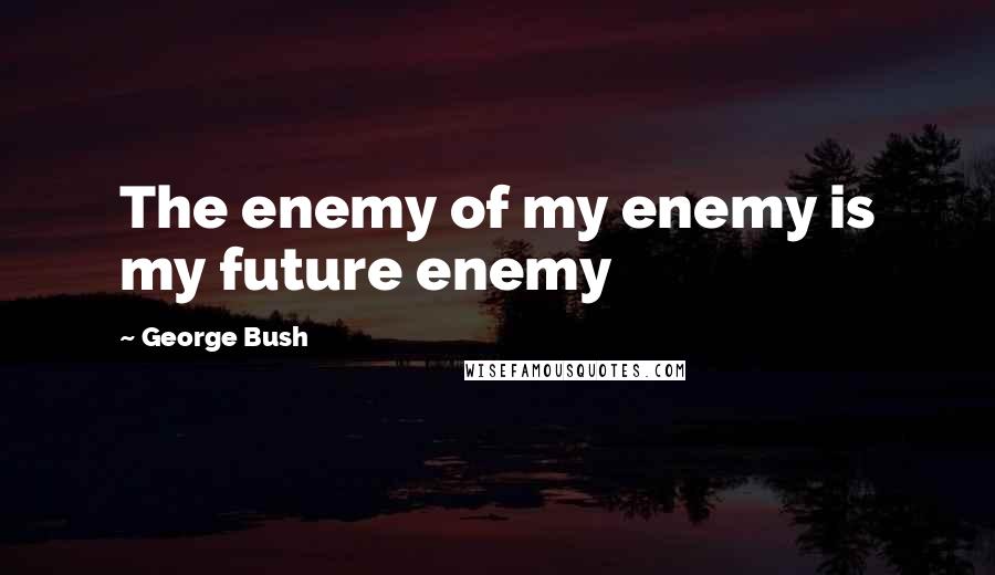 George Bush Quotes: The enemy of my enemy is my future enemy