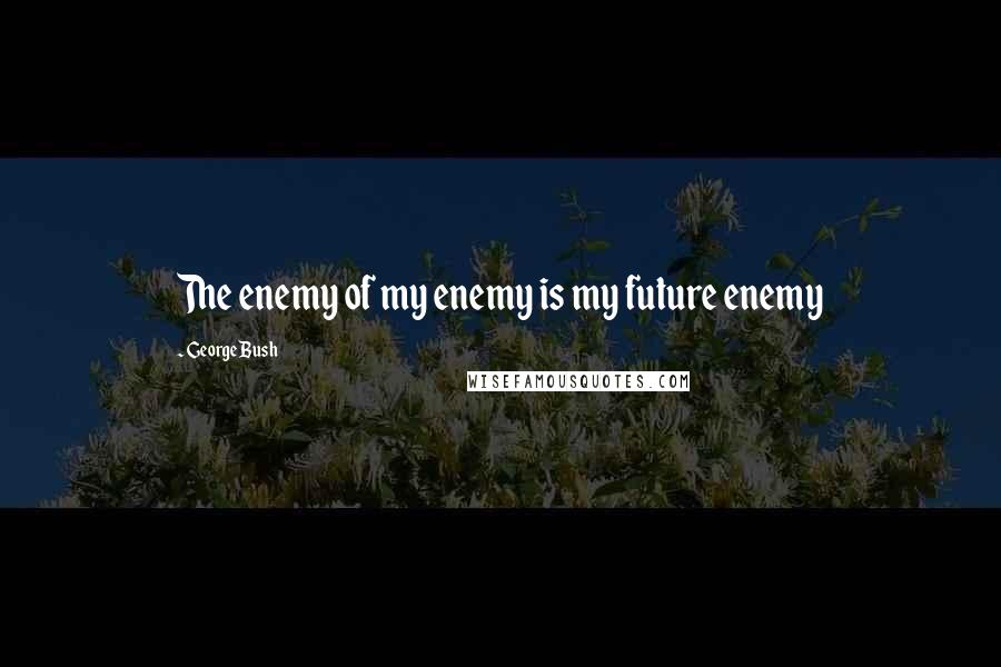 George Bush Quotes: The enemy of my enemy is my future enemy