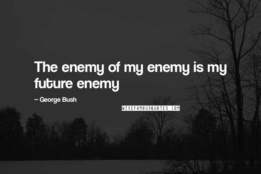 George Bush Quotes: The enemy of my enemy is my future enemy